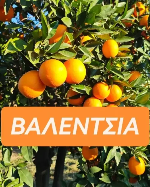 ΒΑΛΕΝΤΣΙΑ-760x760_result.webp